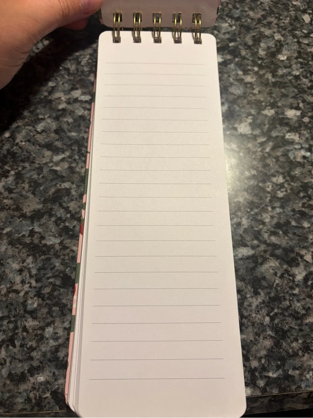 Fringe Strawberry Spiral Notepad with Gold Pen